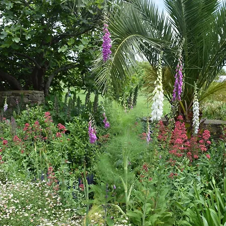 Paca Casa Rural. Arts And Landscape In Asturias