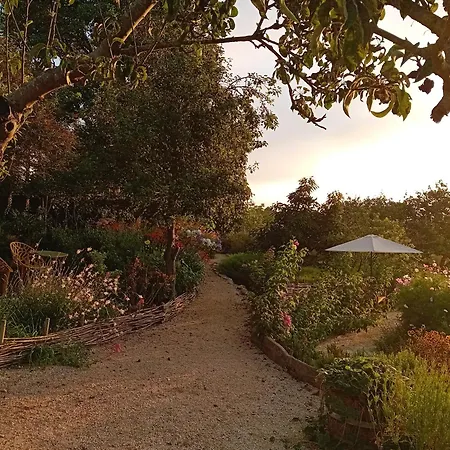 Paca Casa Rural. Arts And Landscape In Asturias 希洪