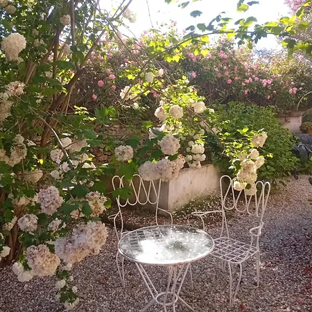 Paca Casa Rural. Arts And Landscape In Asturias 希洪