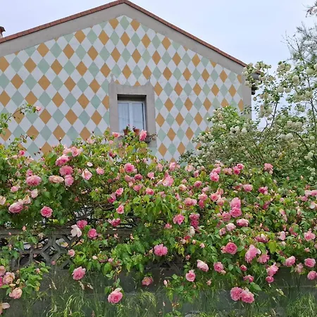 Paca Casa Rural. Arts And Landscape In Asturias 度假居