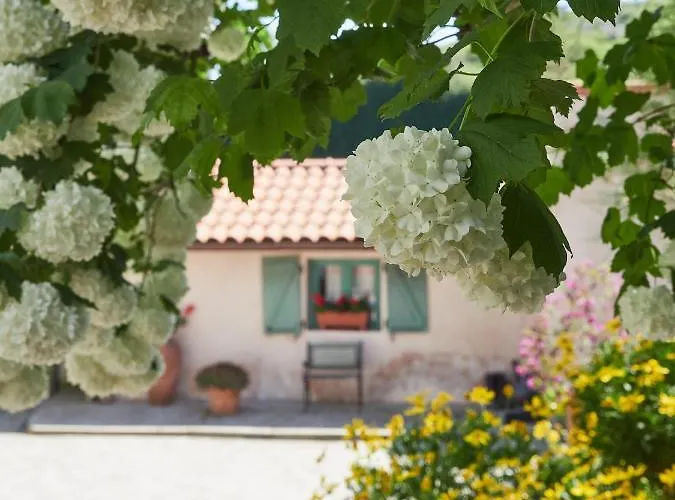 度假居 Paca Casa Rural. Arts And Landscape In Asturias *