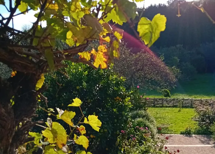 Paca Casa Rural. Arts And Landscape In Asturias * 希洪