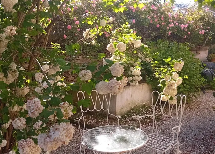 Paca Casa Rural. Arts And Landscape In Asturias 希洪