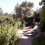 Paca Casa Rural. Arts And Landscape In Asturias Tatil Evi *