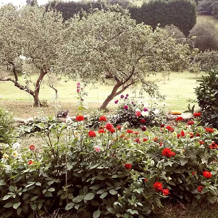 Paca Casa Rural. Arts And Landscape In Asturias Χιχόν