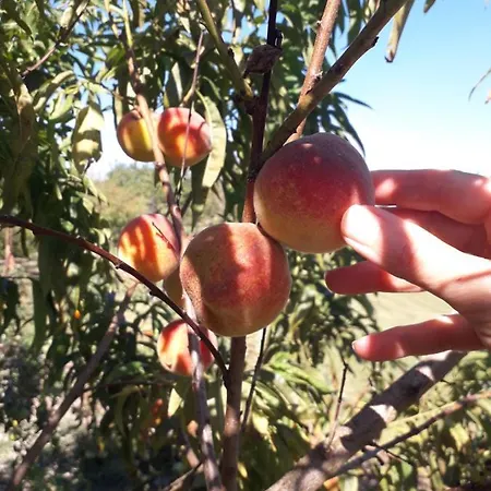 Paca Casa Rural. Arts And Landscape In Asturias Σπίτι διακοπών *