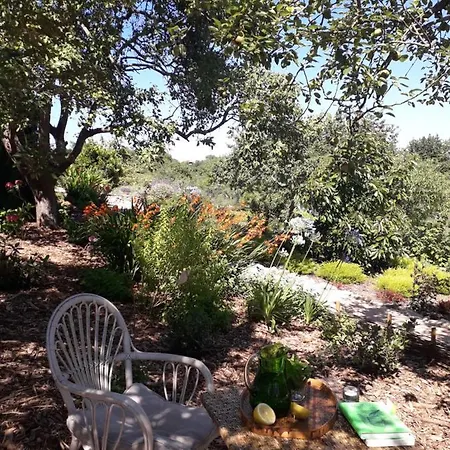 Paca Casa Rural. Arts And Landscape In Asturias Holiday home Gijon
