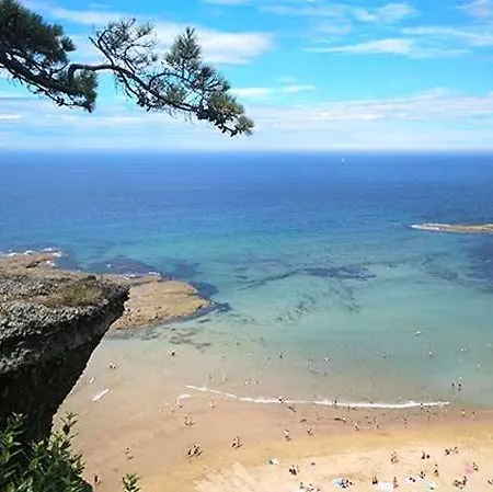 Paca Casa Rural. Arts And Landscape In Asturias *