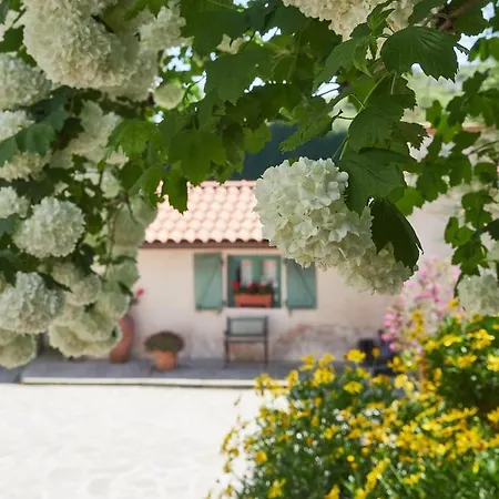 Holiday home Paca Casa Rural. Arts And Landscape In Asturias *