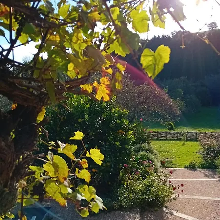 Paca Casa Rural. Arts And Landscape In Asturias * Χιχόν