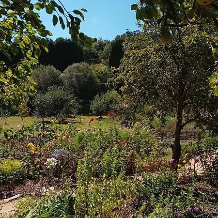Paca Casa Rural. Arts And Landscape In Asturias Holiday home