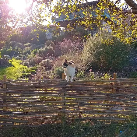 Σπίτι διακοπών Paca Casa Rural. Arts And Landscape In Asturias *
