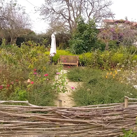 Σπίτι διακοπών Paca Casa Rural. Arts And Landscape In Asturias *