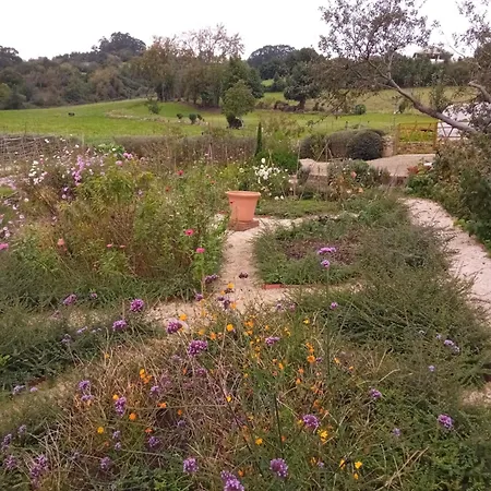 Holiday home Paca Casa Rural. Arts And Landscape In Asturias Gijon
