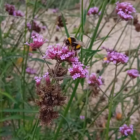 Paca Casa Rural. Arts And Landscape In Asturias Σπίτι διακοπών *