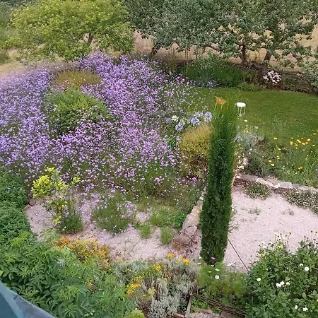 Paca Casa Rural. Arts And Landscape In Asturias Σπίτι διακοπών Χιχόν