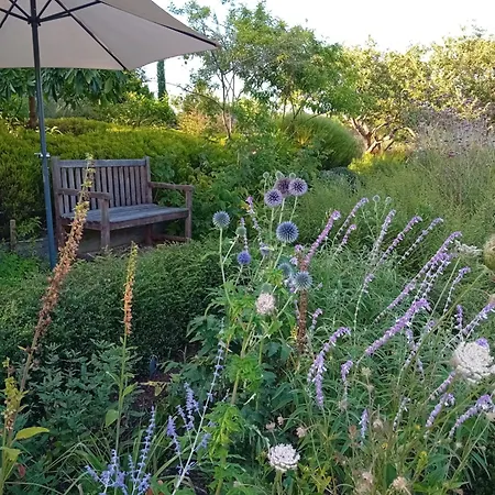 Σπίτι διακοπών Paca Casa Rural. Arts And Landscape In Asturias *