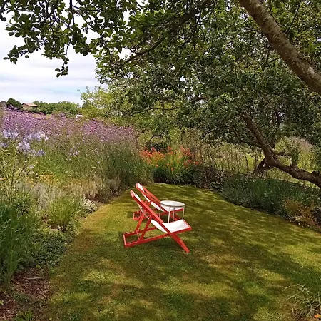 Paca Casa Rural. Arts And Landscape In Asturias *