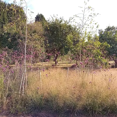 Paca Casa Rural. Arts And Landscape In Asturias Feriehus Gijón