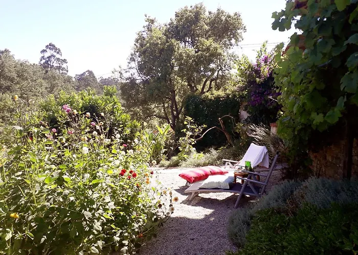 Paca Casa Rural. Arts And Landscape In Asturias Tatil Evi *