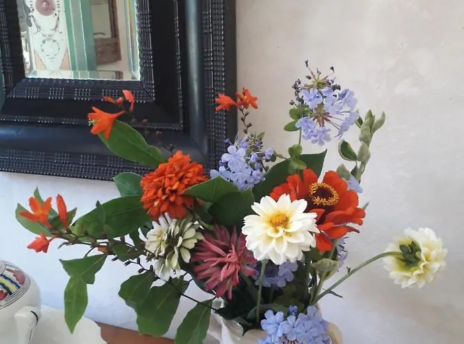 Paca Casa Rural. Arts And Landscape In Asturias * Gijón