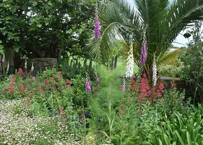 Paca Casa Rural. Arts And Landscape In Asturias