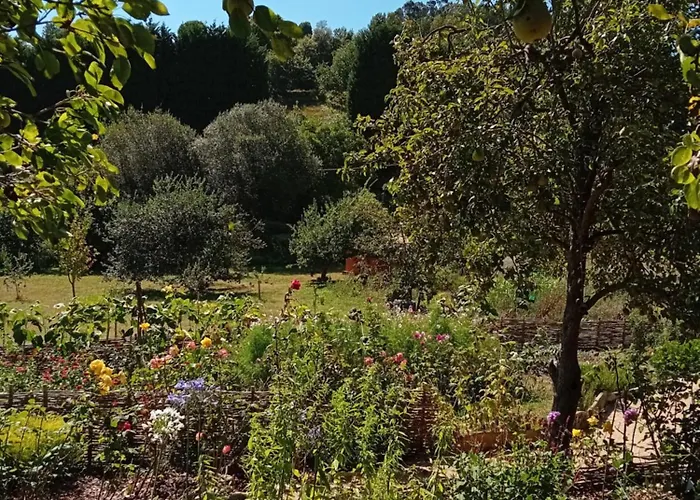 Paca Casa Rural. Arts And Landscape In Asturias Tatil Evi