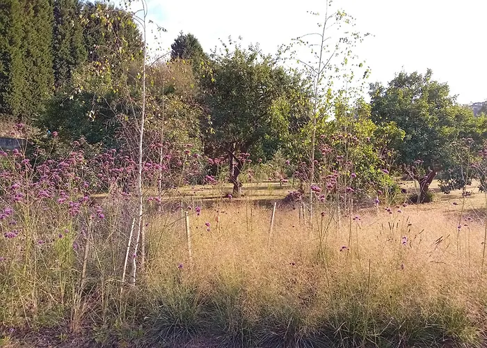Paca Casa Rural. Arts And Landscape In Asturias Tatil Evi Gijón