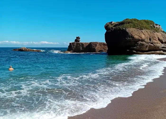 Tatil Evi Paca Casa Rural. Arts And Landscape In Asturias Gijón
