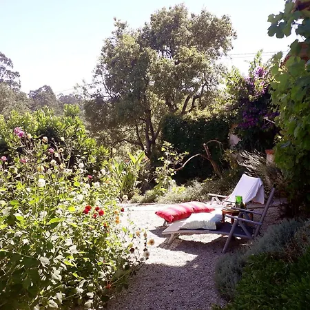 Paca Casa Rural. Arts And Landscape In Asturias Vakantiehuis *
