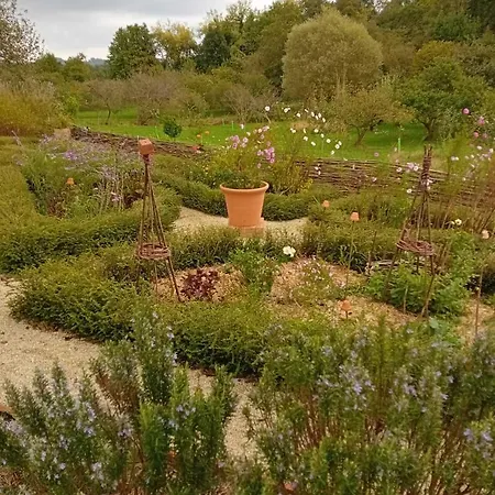 Paca Casa Rural. Arts And Landscape In Asturias Vakantiehuis *